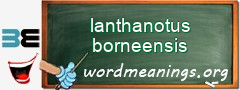 WordMeaning blackboard for lanthanotus borneensis